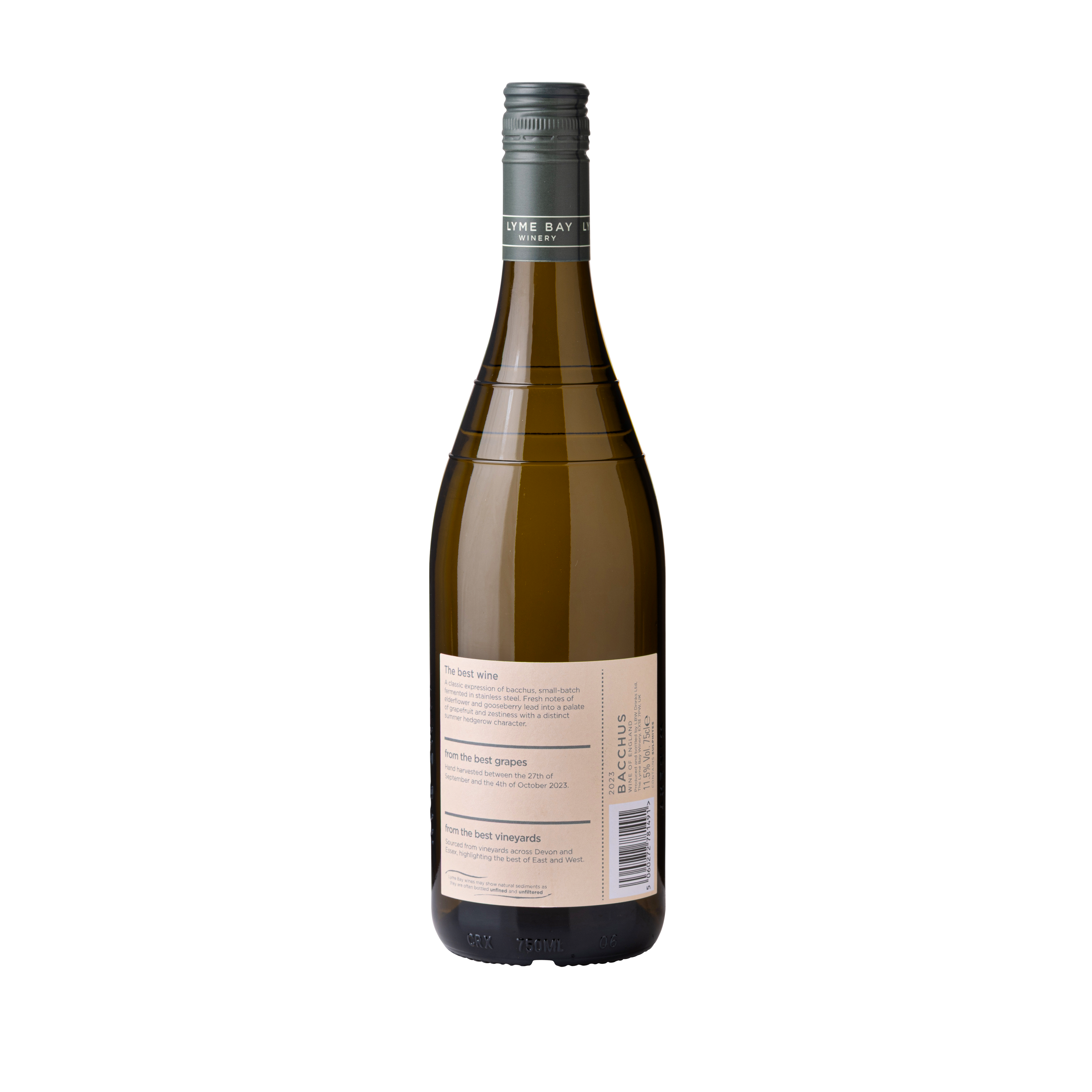 Bacchus 2023 - Image 2