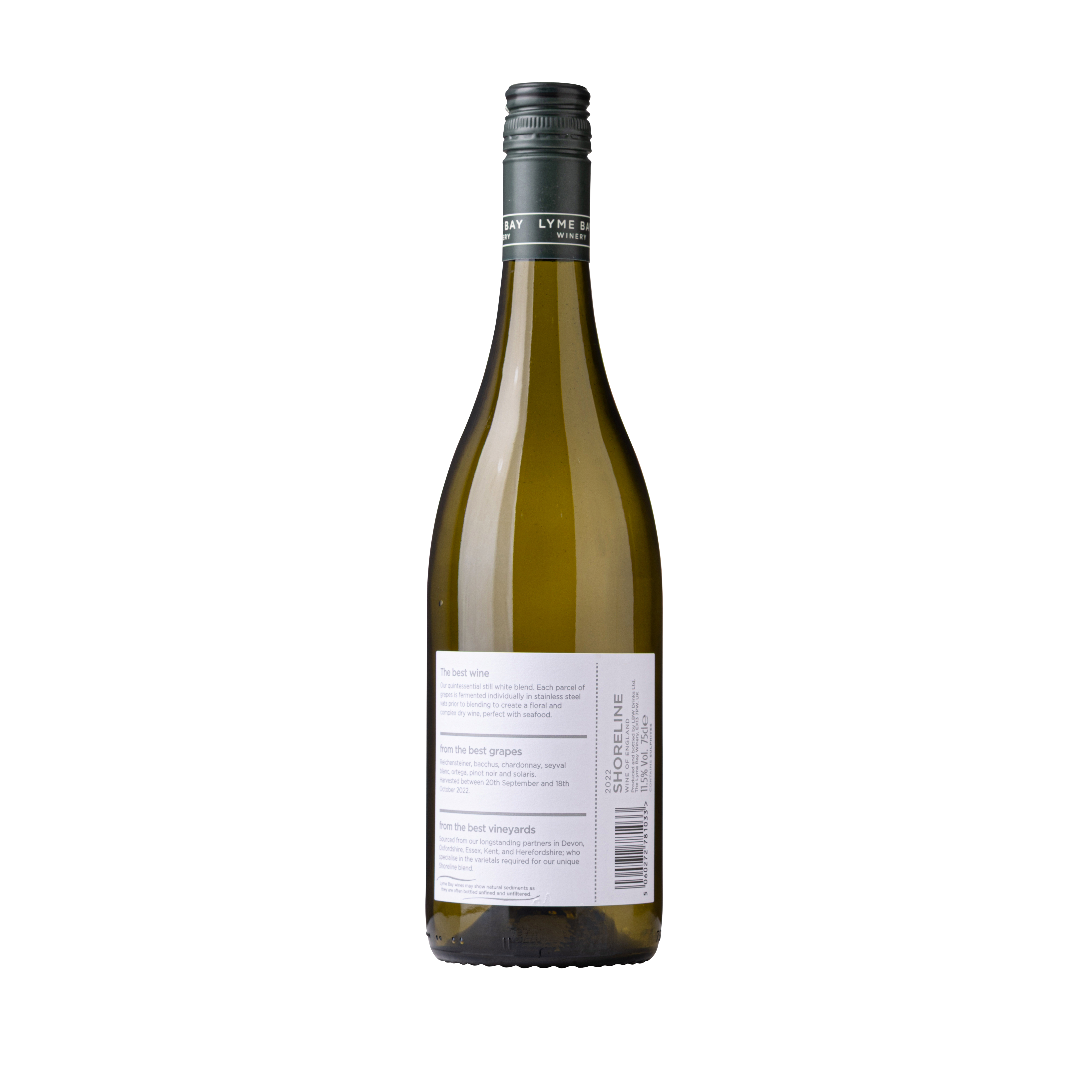 Shoreline 2022 - Image 2