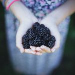 A person holding 2 handfuls of blackberries