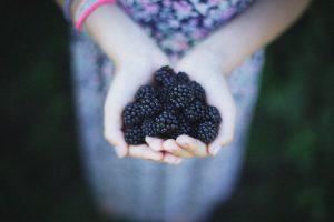 A person holding 2 handfuls of blackberries